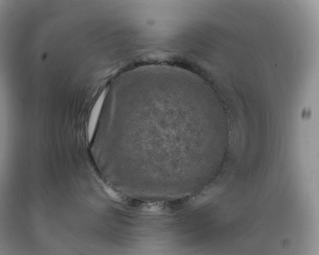 X0000092000624200709201510