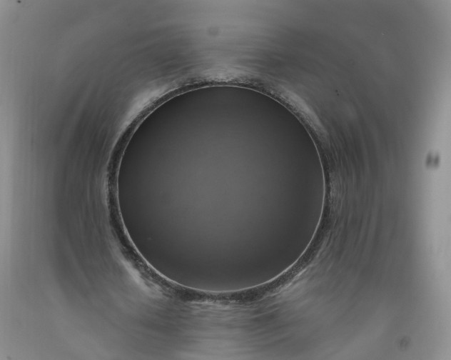 X0000092000626200709201509