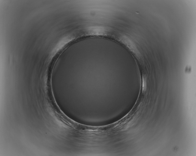 X0000092000627200709201509