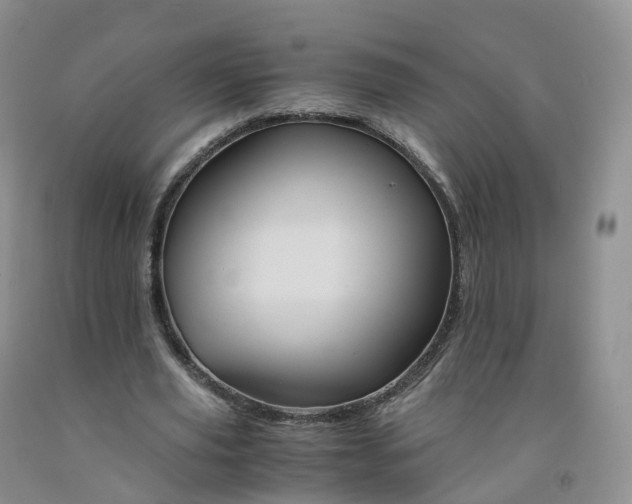 X0000092000629200709201509