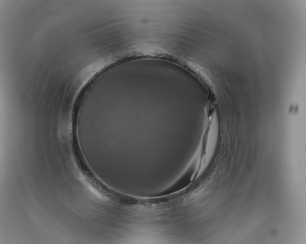 X0000092000630200709201509