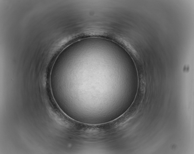 X0000092000631200709201509