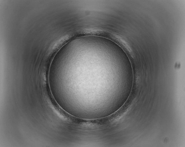 X0000092000633200709201509