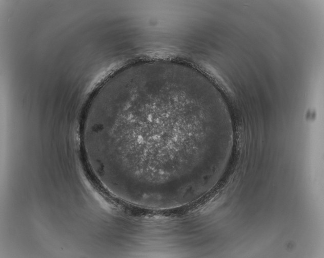 X0000092000634200709201509