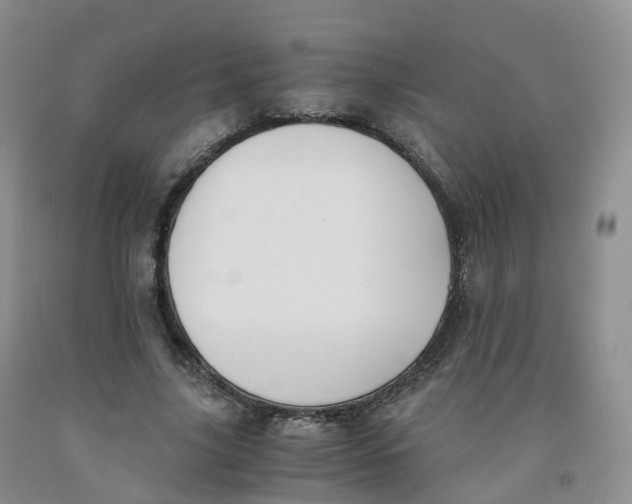 X0000092000635200709201509