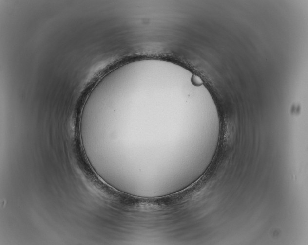 X0000092000636200709201509