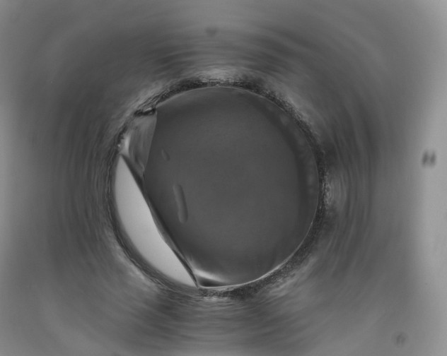 X0000092000637200709201509