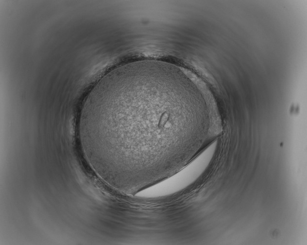 X0000092000639200709201509