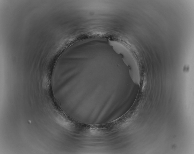 X0000092000641200709201510