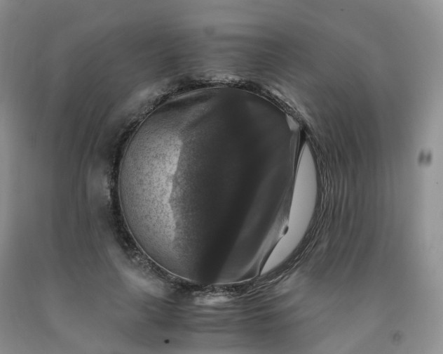 X0000092000643200709201510