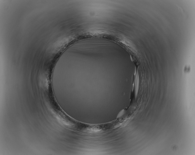 X0000092000644200709201510