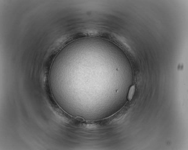 X0000092000645200709201510