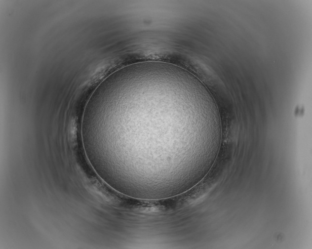 X0000092000646200709201510