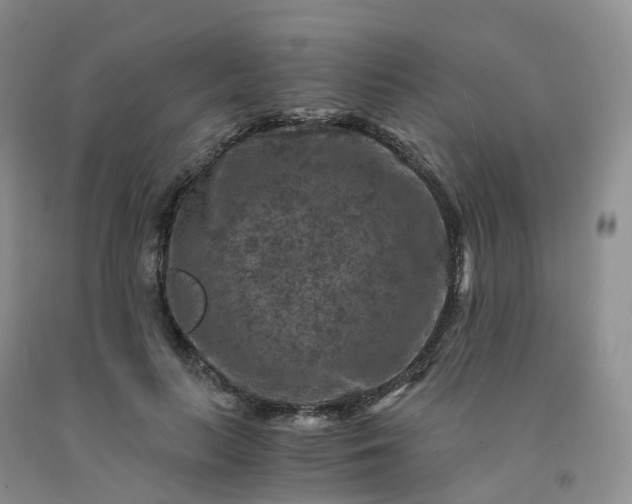 X0000092000647200709201510