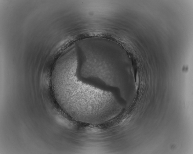 X0000092000648200709201510