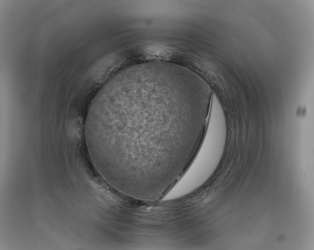 X0000092000649200709201510