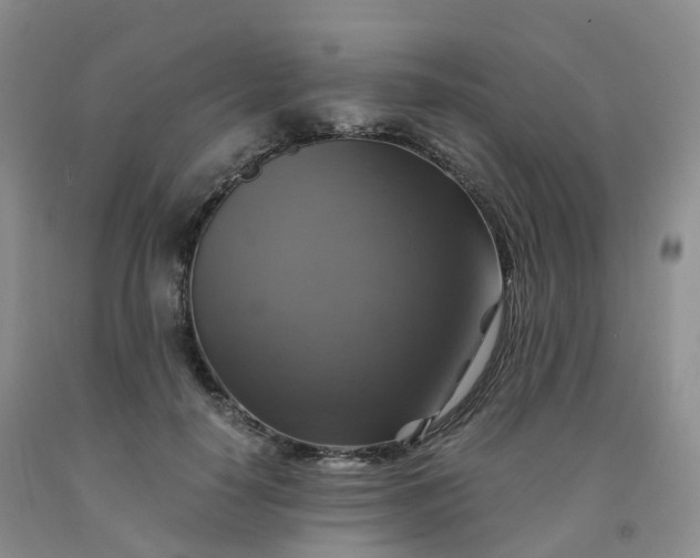 X0000092000650200709201510