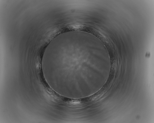 X0000092000651200709201510