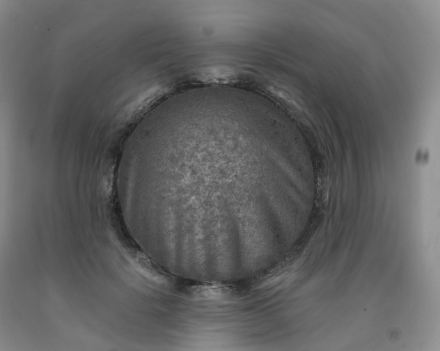 X0000092000652200709201510