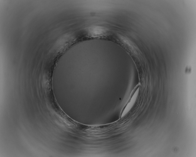 X0000092000653200709201510