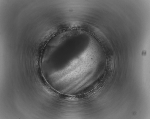 X0000092000654200709201510