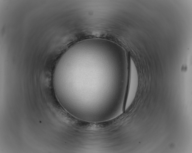 X0000092000656200709201510