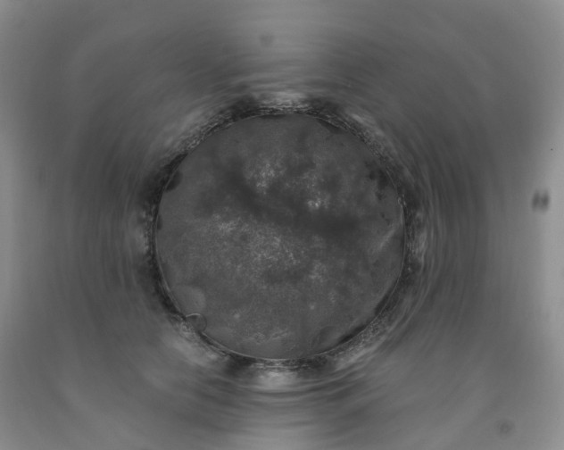 X0000092000658200709201510