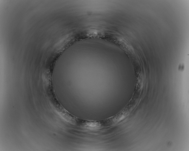 X0000092000659200709201510