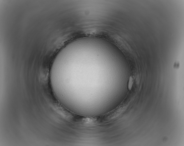 X0000092000660200709201510