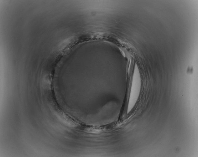 X0000092000661200709201510