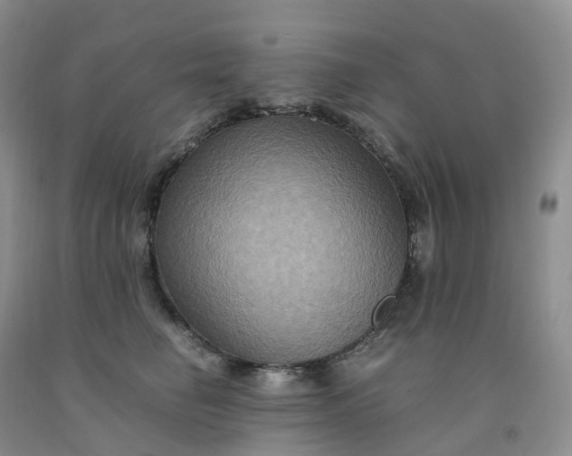 X0000092000662200709201510