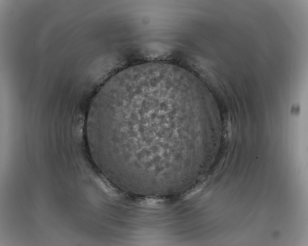 X0000092000664200709201510