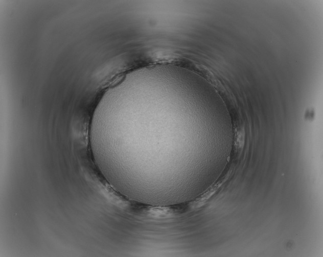 X0000092000666200709201510