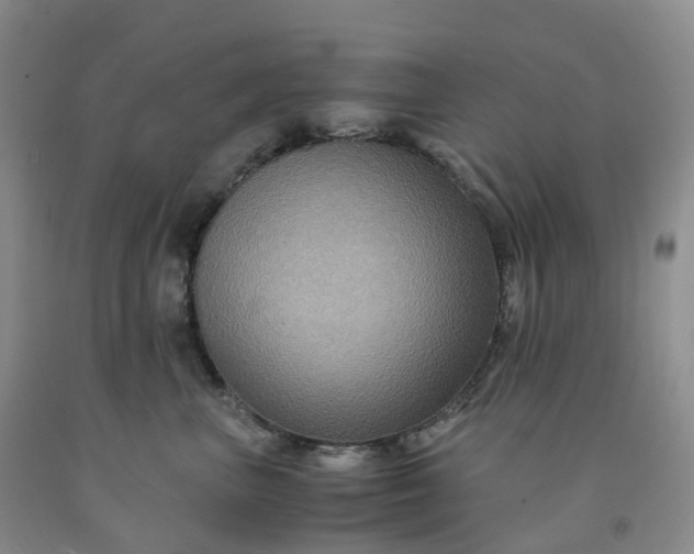 X0000092000667200709201510