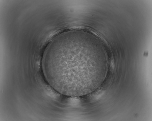 X0000092000668200709201510