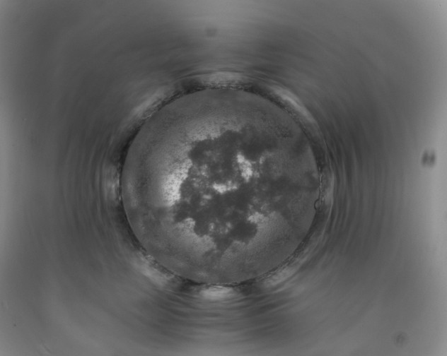 X0000092000669200709201510