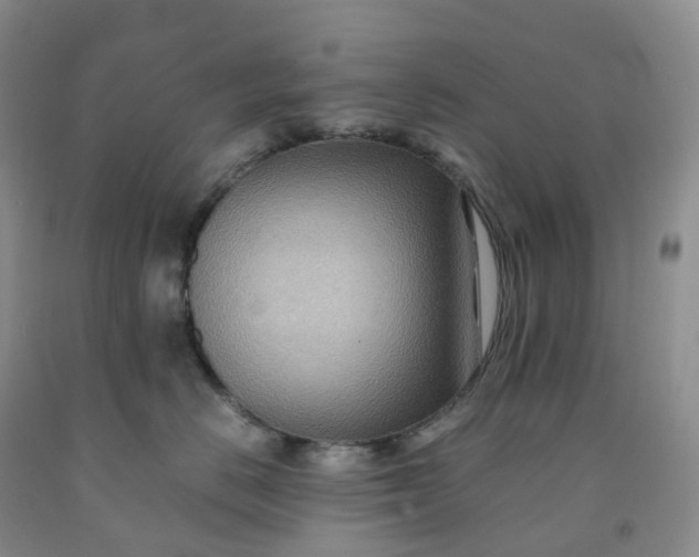 X0000092000670200709201510