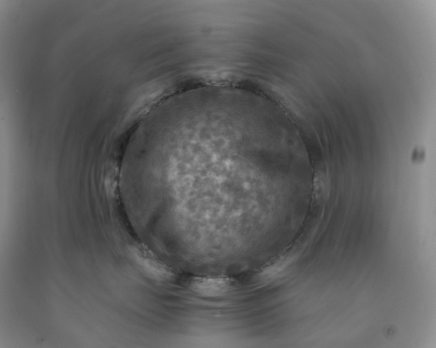 X0000092000671200709201510