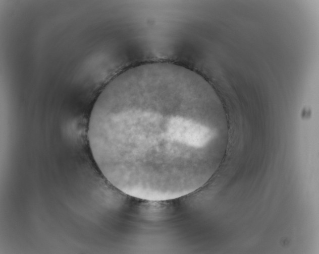 X0000092000672200709201510