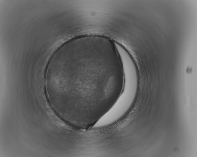 X0000092000673200709201509