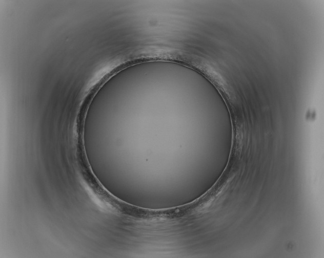 X0000092000674200709201509