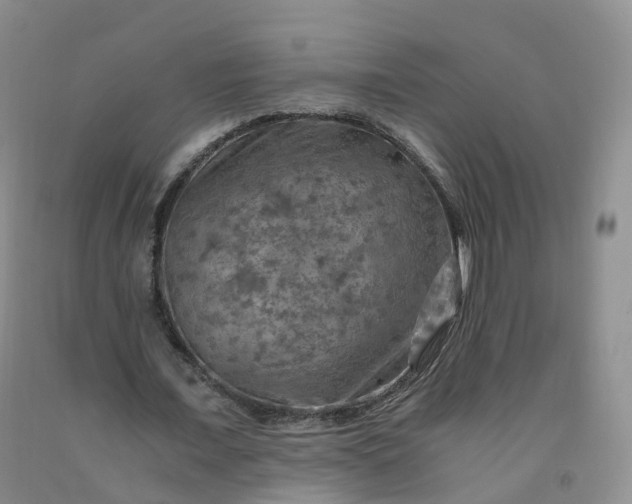 X0000092000675200709201509