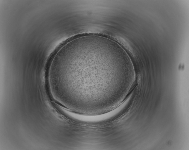 X0000092000676200709201509