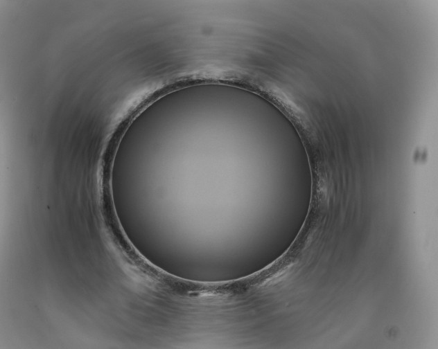 X0000092000678200709201509