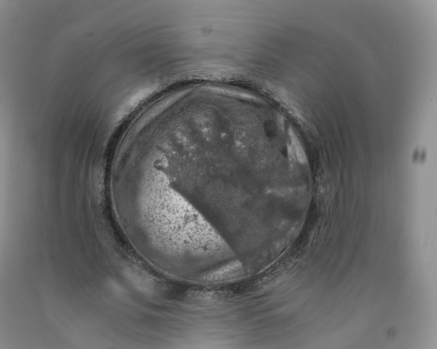 X0000092000679200709201509