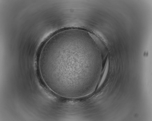 X0000092000680200709201509