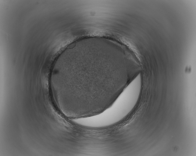 X0000092000681200709201509