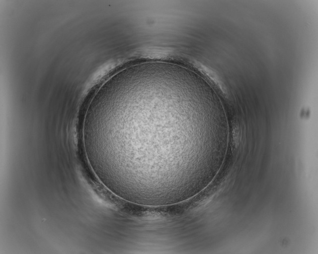 X0000092000682200709201509