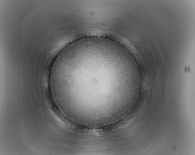 X0000092000683200709201509