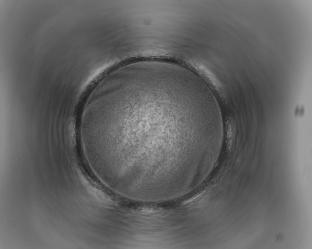 X0000092000684200709201509